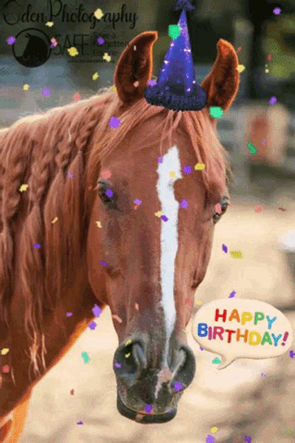 funny happy birthday horse gif